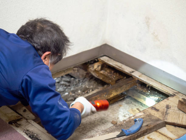 Water Damage Restoration in Taylor Creek, FL
