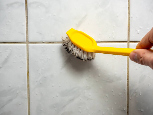 Best Black Mold Removal  in Taylor Creek, FL