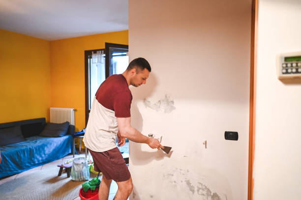 Best Mold Damage Repair  in Taylor Creek, FL